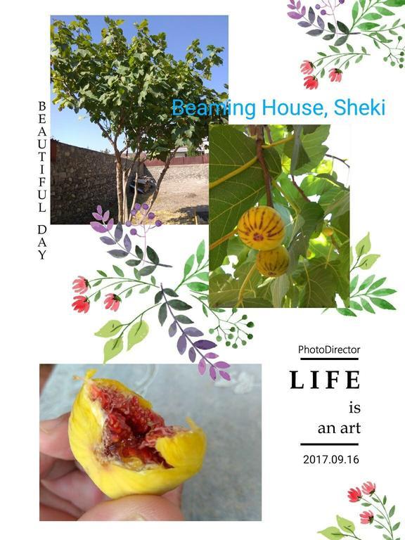 Hotel Beaming_House Şǝki Zewnętrze zdjęcie